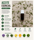 Aceite Esencial Natural 10 ml – Aromaterapia, Masajes y Bienestar